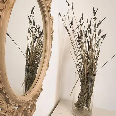 Holiday home μaria's Flats Tolo